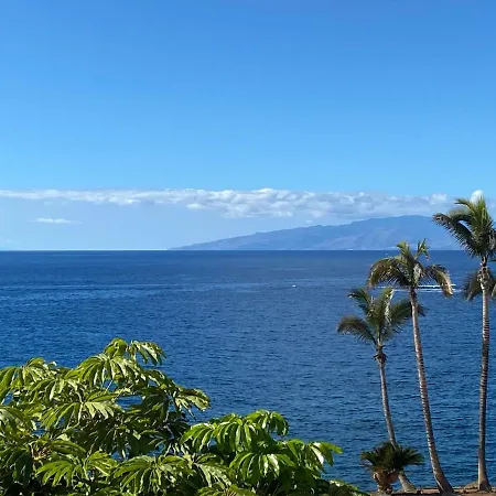 Flores 5 * Playa de las Americas (Tenerife)