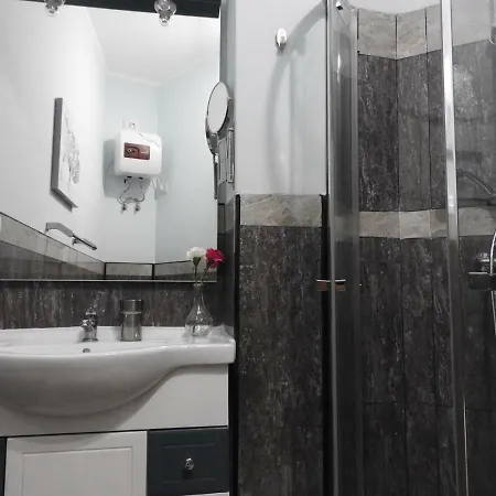 Flores 5 플라야데라스아메리카스